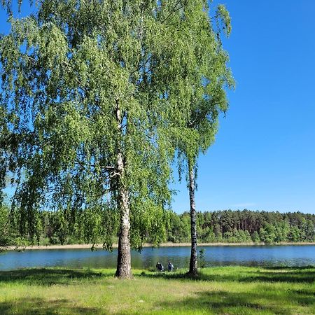 ホテル Osrodek Wypoczynkowy Zacisze Śliwice エクステリア 写真