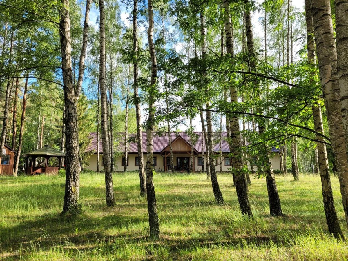 ホテル Osrodek Wypoczynkowy Zacisze Śliwice エクステリア 写真